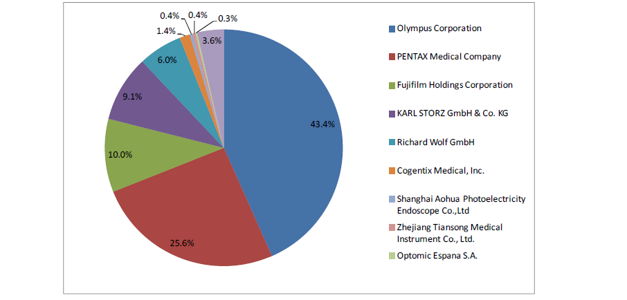 기관지 내시경의 주요 기업별 시장 점유율, 2012