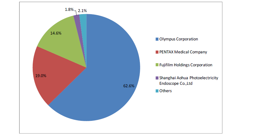 식도 및 위 내시경의 주요 기업별 시장 점유율, 2012