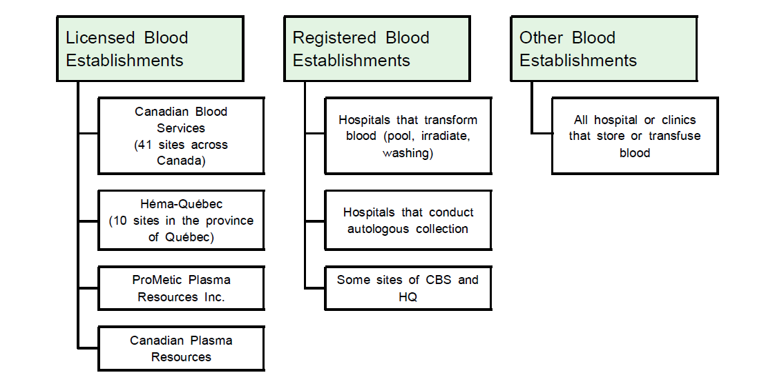 혈액제조 관련 기관의 인허가 체계(Blood Establishments)
