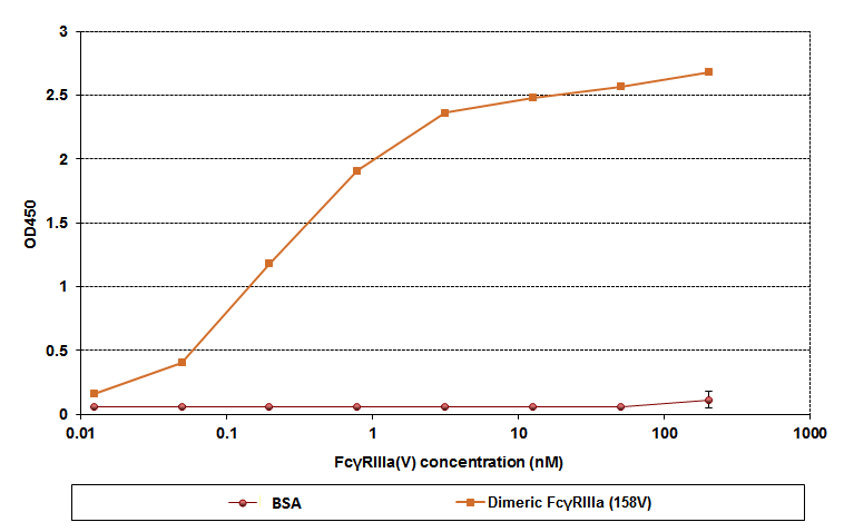 항체와 BSA를 이용한 FcγRIIIa의 특이성 분석.