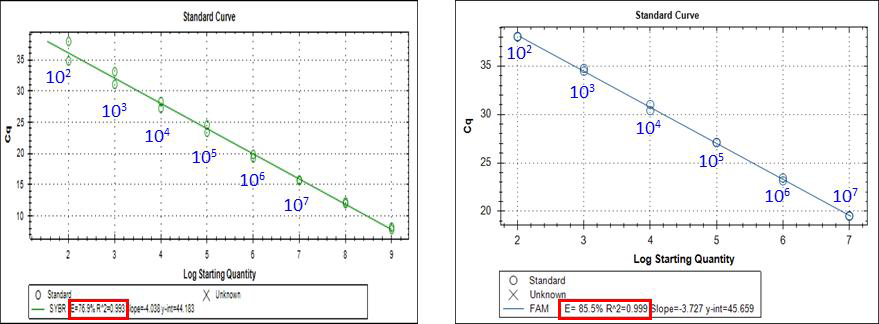 SYBR Green qPCR과 TaqMan Probe qPCR 방법 효율성 비교