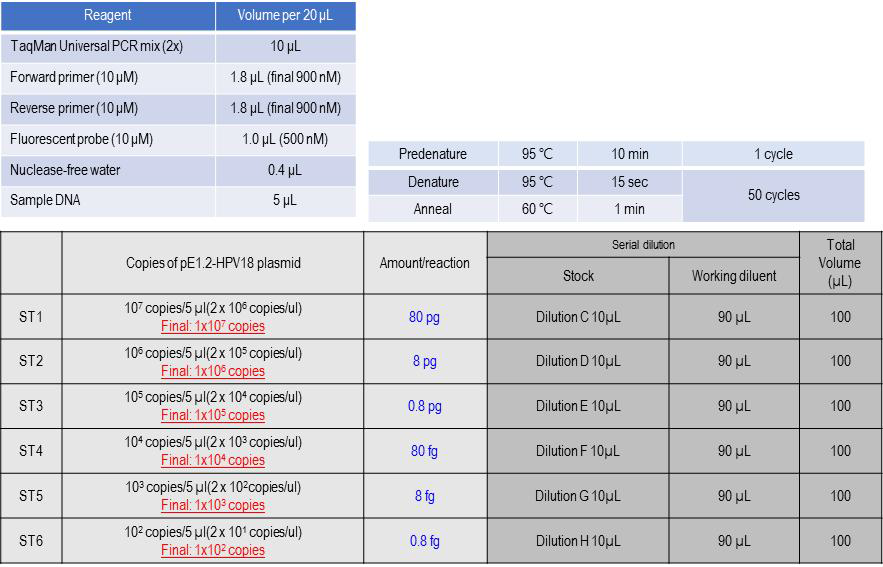 최적의 qPCR 조건