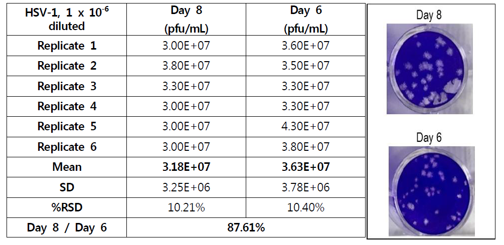 Plaque assay titration의 시간별 비교