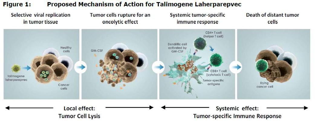 EMA/734400/2015(CHMP) Imlygic(T-Vec)에 대한 Assessment report에서 설명하는 치료효능