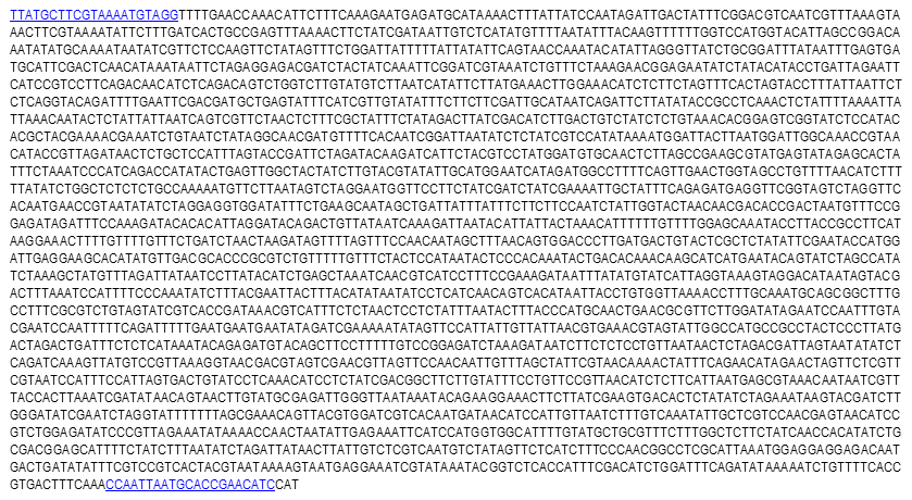 Vaccinia virus genome (AY243312) 중 E9L template 염기서열