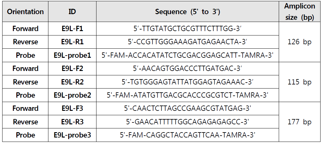 E9L gene-specific 프라이머쌍 및 probe의 염기서열