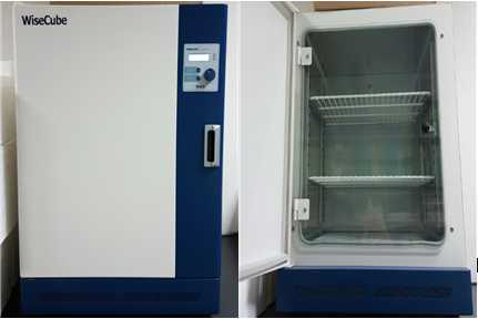 37℃ incubator