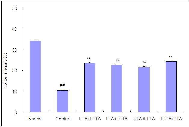 Effect of simultaneous stimulation on the force intensity at the 5rd treatment in pain model rat induced tibial and sural nerve transection.