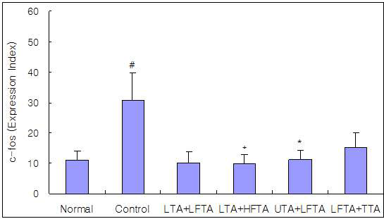 Effect of simultaneous stimulation on the c-fos activity at all groups in pain model rat induced tibial and sural nerve transection.