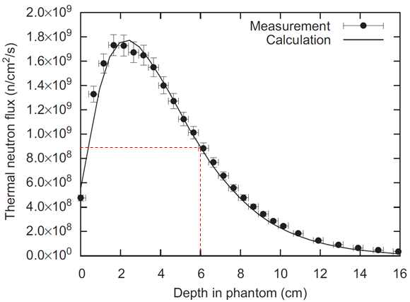 Thermal neutron distributions in a water phantom at the central axis.