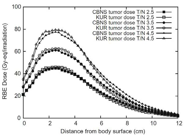 Relationship between the biological effect