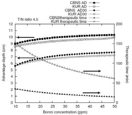 Relationship of AD, AD30 Gy-eq and therapeutic time as a function of boron concentration in blood for T/N ratio of 4.5.