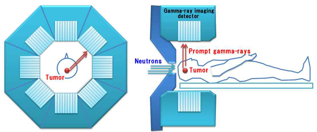 Schematic of prompt gamma-ray SPECT.