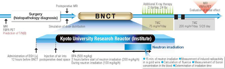 BNCT procedure of malignant brain tumor developed by Kyoto University KURRI.