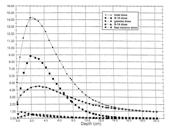 Monte-Carlo-calculated depth dose curves of all four dose components for a single-beam BNCT treatment of a patient head.