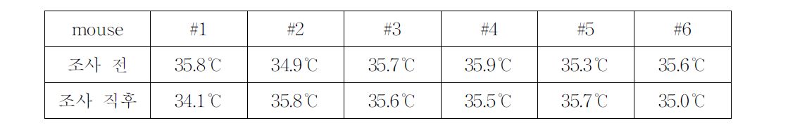 무마취 상태에서 레이저 조사전후 쥐의 체온