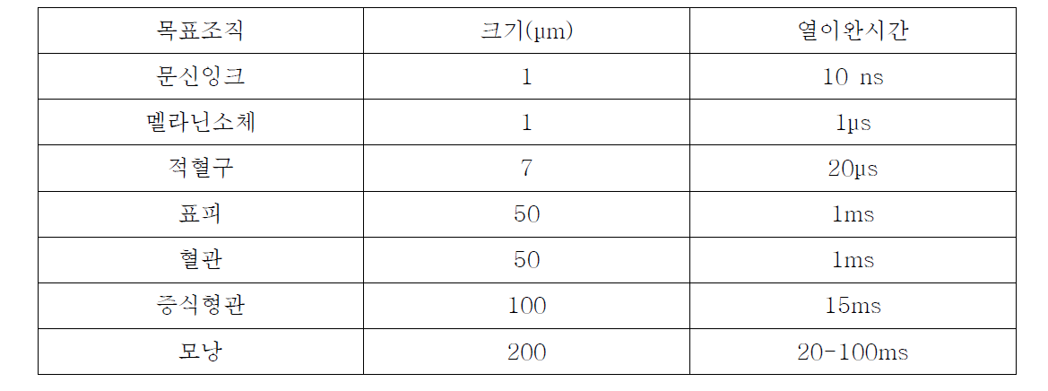 목표조직에 따른 열이완시간(Thermal Relaxation Time, TRT)