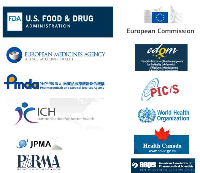 의약품 관련 유럽, 미국, 일본등의 규제기관 및 학술단체