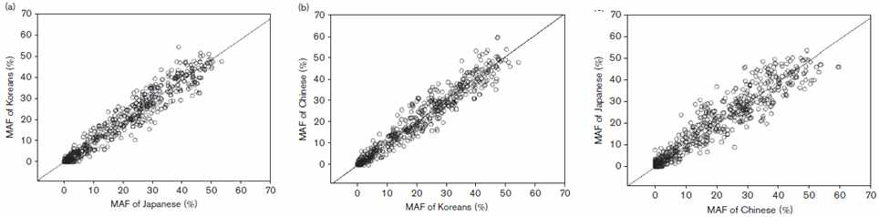 한중일에서의한중일에서의 약물유전자의 MAF의 비교 (A) 한국인과 일본인 (B) 한국인과 중국인 (C) 중국인과 일본인