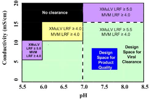 pH-Conductivity Design Space Diagram for Clearance of XMuLV and MVM in Anion Exchange Chromatography
