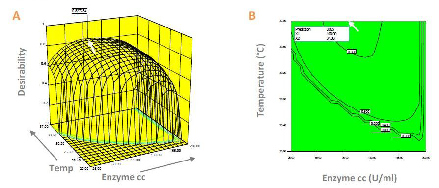3D-response surface (A) and 2D-isoresponse plot (B) of desirability as a function of enzyme concentration and temperature at pH 8.3