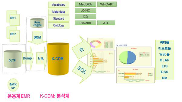 협력의료기관 EMR 데이터의 K-CDM 변환