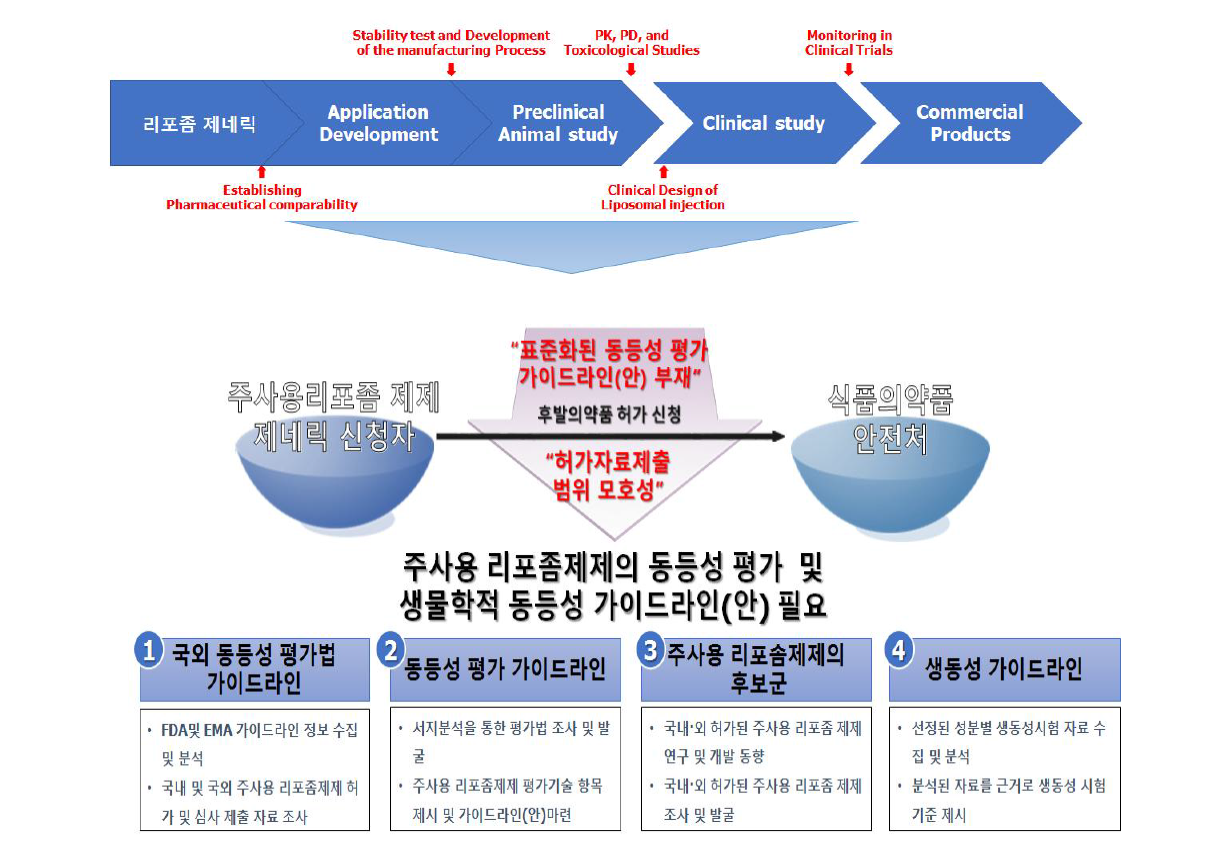 주사용 리포좀 개발 평가체계 구축 방안