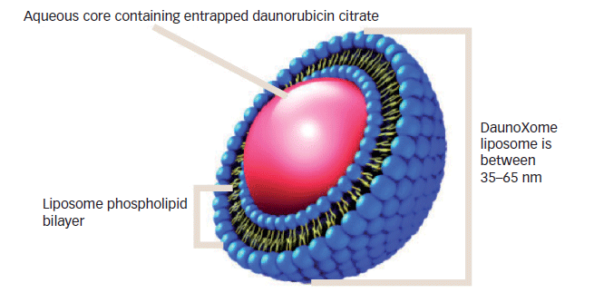 DaunoXome 리포좀 주사제 구조 (Oncology & Hematology Review, 2013)