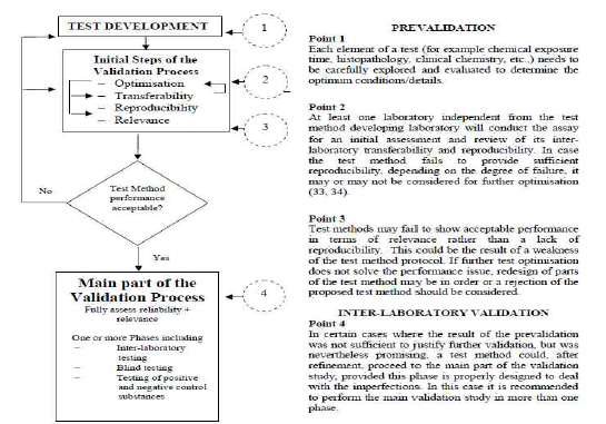 시험법 개발 및 검증단계의 고려사항 (OECD GD34, 2005)