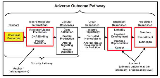 독성발현경로의 개념적 구조 (Ankley et al., 2010)