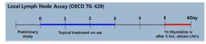 마우스 Local Lymph Node Assay (LLNA) 디자인