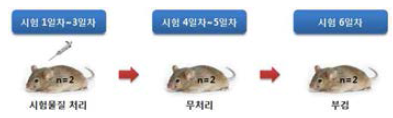 예비시험 수행 과정