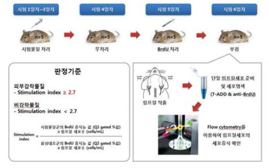 본시험 수행 과정