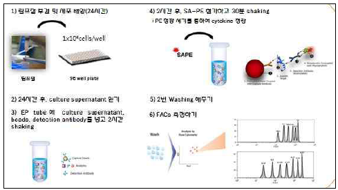 사이토카인 분석 과정