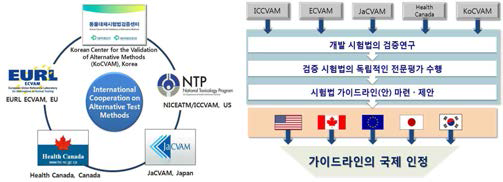 동물대체시험법 국제협력 (ICATM) 체결 및 역할