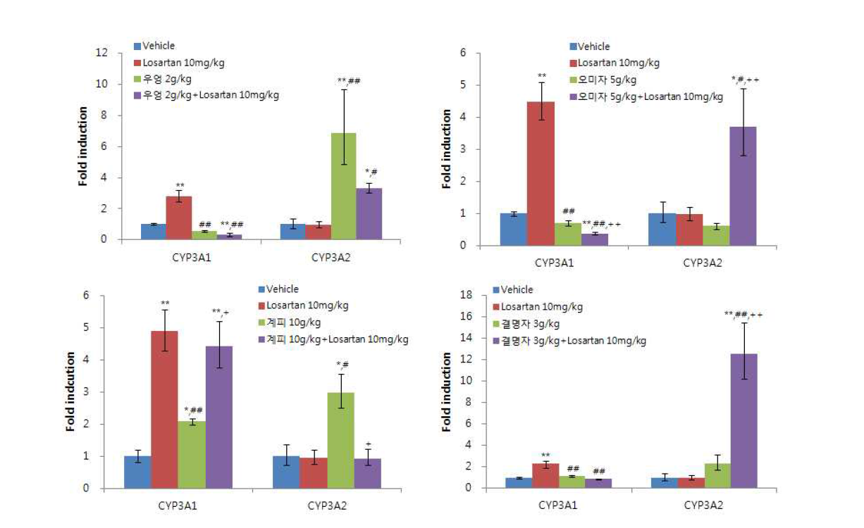 Losartan과 다류 추출물에 의한 CYP3A1과 CYP3A2의 유전자발현 결과, Data is fold induction of vehicle ± S.E.M, *: p<0.05, **: p<0.01 vs vehicle, ##: p<0.01 vs losartan 0.01g/㎏ group, +: p<0.05, ++: p<0.01 vs sample only group