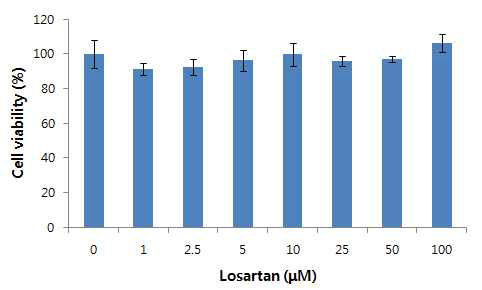 HepG2 세포에서 losartan의 세포독성평가, Data is mean percent of control ± S.E.M