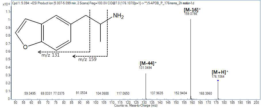 5-APDB 대사체 M1 (Hydroxylation+Dehydration)의 구조규명
