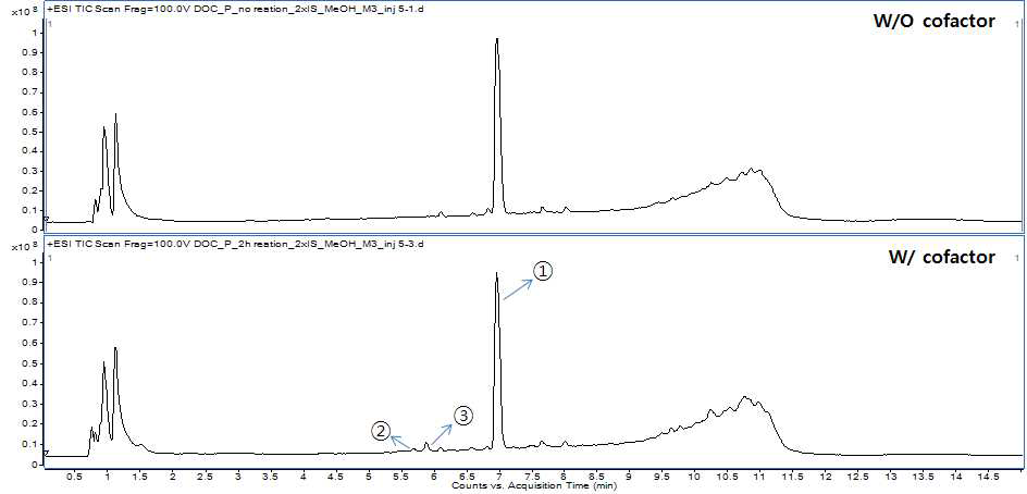 LC-TOF/MS를 이용한 DOC의 TIC(Total ion chromatogram)