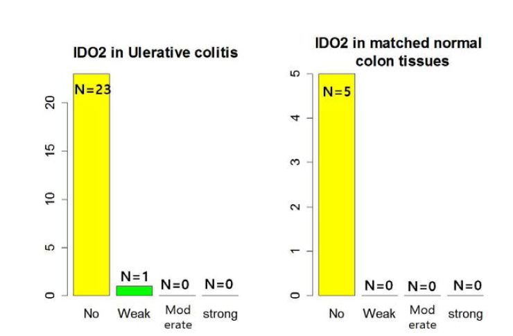 궤양성 대장염(Ulcerative colitis) 및 정상 장 점막조직에서의 IDO2 발현