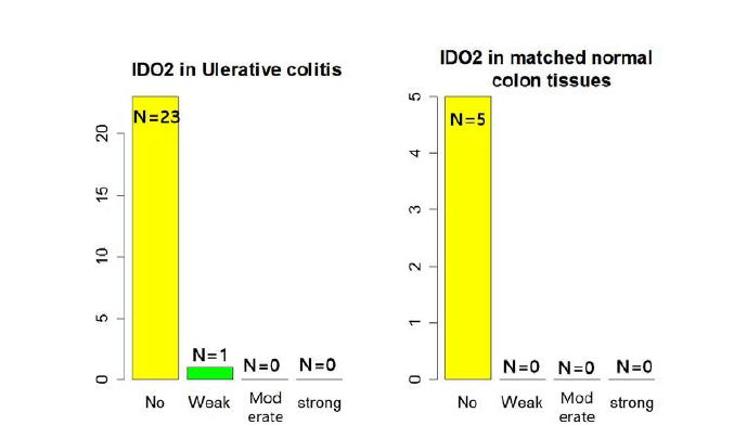 궤양성 대장염(Ulcerative colitis) 및 정상 장 점막조직에서의 IDO2 발현