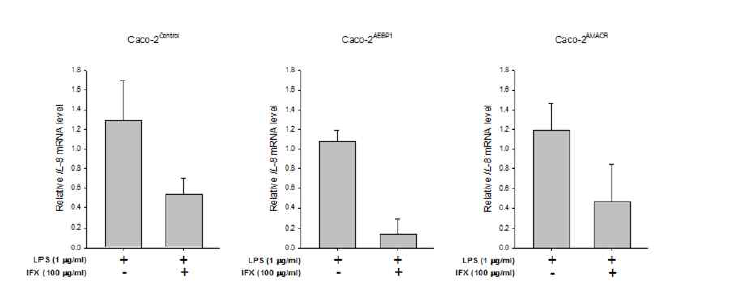 Control vector 및 AEBP1, AMACR 단백질 과발현 Caco-2 세포에서 LPS 및 LPS와 인플릭시맙 처리에 의한 IL-8 mRNA 발현 확인