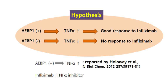 AEBP1의 TNF-alpha 조절에 대한 가설