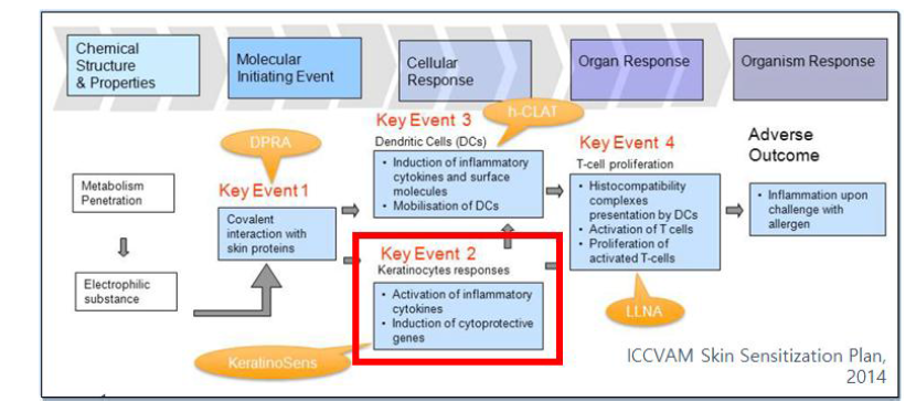 Adverse Outcome Pathway