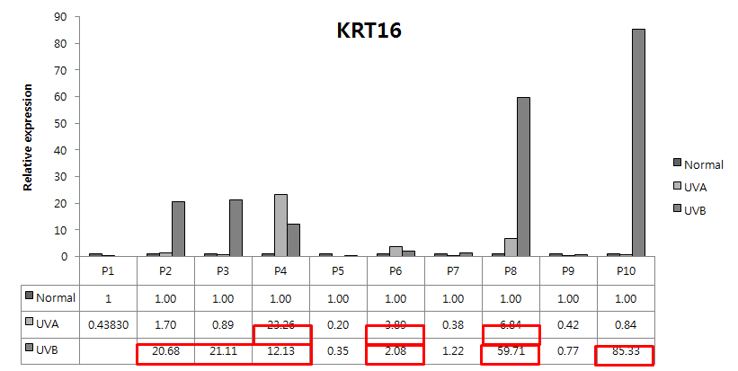 광독성 피부조직에서 KRT16 mRNA 발현변화율
