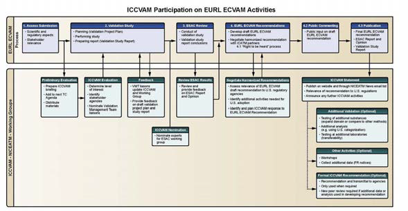 ICCVAM과 EURL ECVAM 협력체계