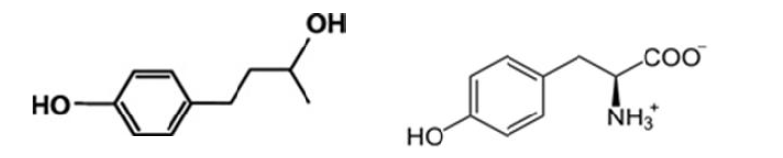 rhododenol (좌) 및 l-tyrosine (우)의 화학적 구조