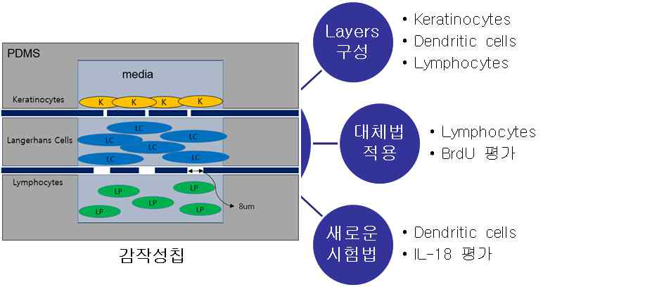 감작성 평가법의 개요