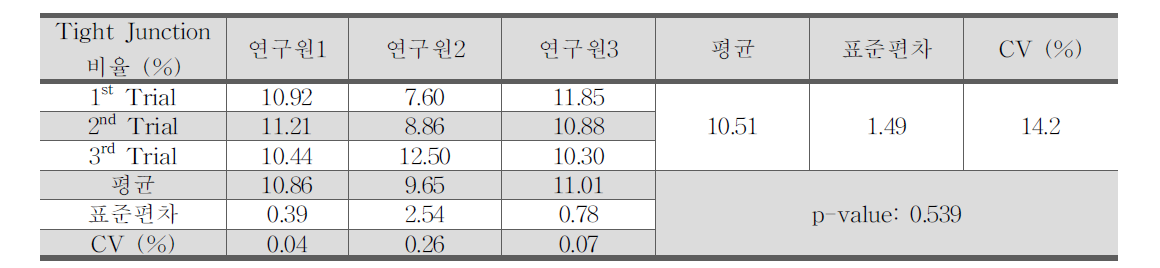 Tight junction 재현성 확인