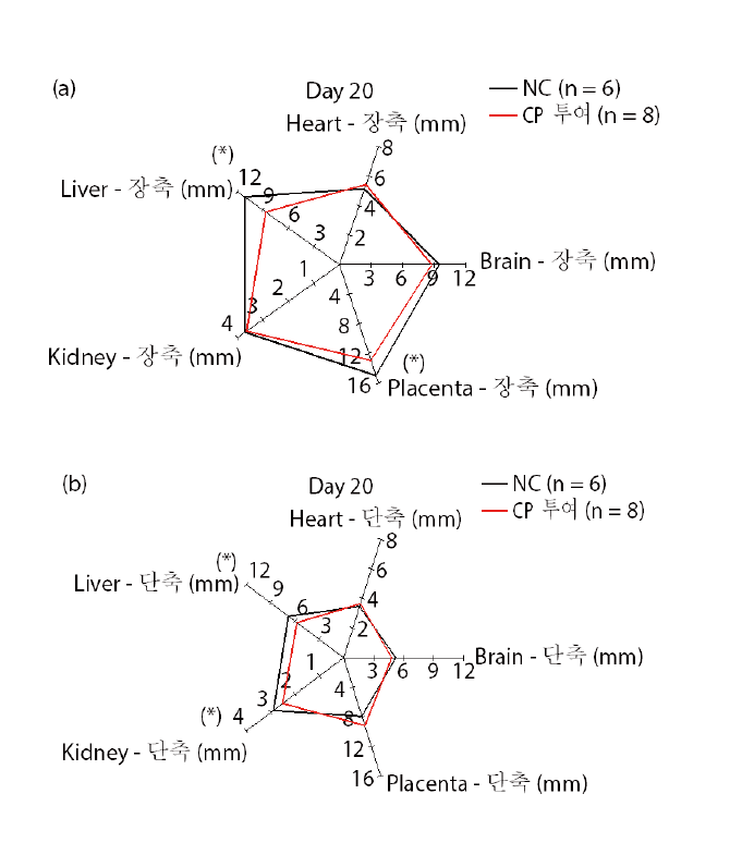 (a) Normal control (n = 6)과 Cyclophosphamide 투여 (n = 8) 후 태자의 20일 째 brain, heart, liver, kidney, placenta의 장축 길이 변화. (b) Normal control (n = 6)과 Cyclophosphamide 투여 (n = 8) 후 태자의 20일 째 brain, heart, liver, kidney, placenta의 단축 길이 변화.